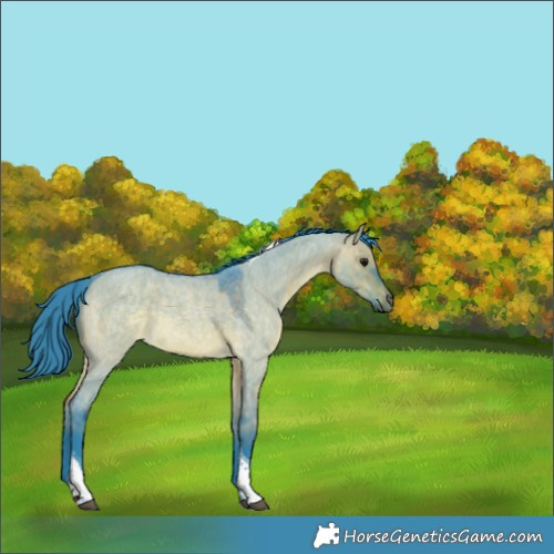 Horse Color:Watercolor Brown Roan Dun Tobiano Rabicano 