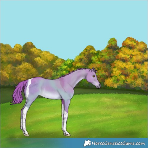Horse Color:Watercolor Liver Red Dun Tobiano Rabicano 