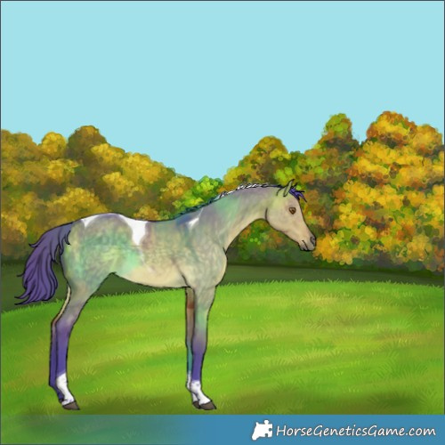 Horse Color:Watercolor Buckskin Dun Tobiano Rabicano 