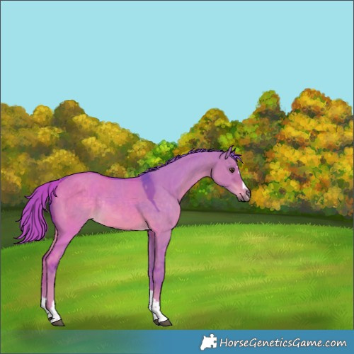 Horse Color:Watercolor Liver Red Dun Tobiano Rabicano 