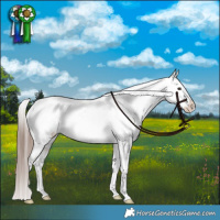 Horse Color:Liver Red Dun Appaloosa Brindle