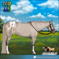 Horse Color:Liver Red Dun Varnish Brindle
