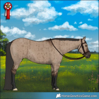 Horse Color:Liver Red Dun Brindle 