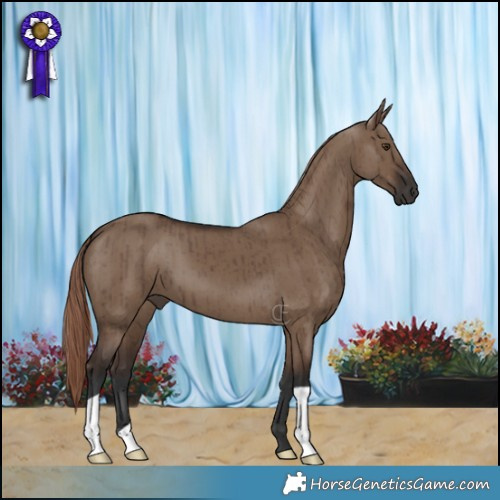 Horse Color:Liver Red Dun Brindle
