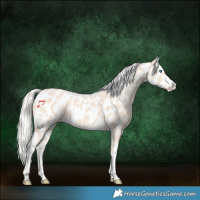 Horse Color:Cremello Near Leopard