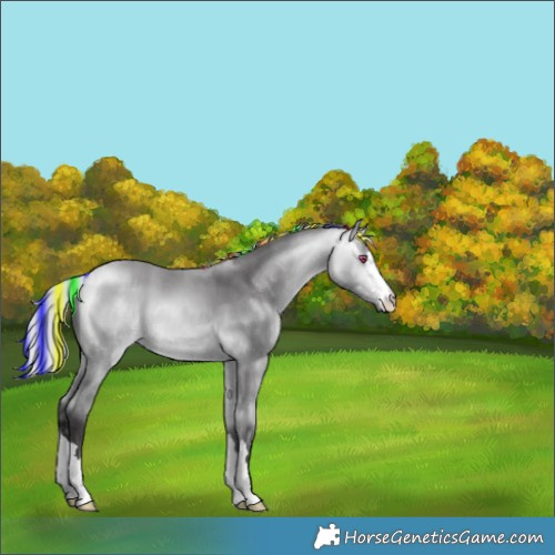 Horse Color:Painted Silver Buckskin Chinchilla 