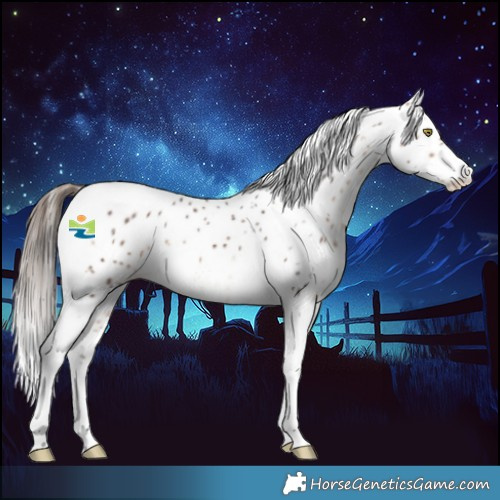Horse Color:Bay Tobiano Leopard 