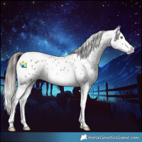 Horse Color:Bay Tobiano Leopard 