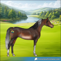 Horse Color:Bay Tobiano 
