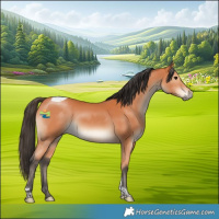 Horse Color:Bay Tobiano 