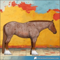 Horse Color:Red Roan 