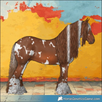 Horse Color:White Spotted Chestnut 