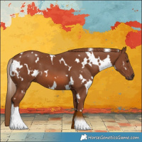 Horse Color:White Spotted Chestnut 