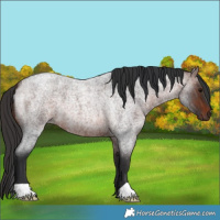 Horse Color:Brown Roan 