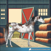 Horse Color:Brown Splash Tobiano 