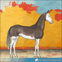 Horse Color:Brown Dun Splash