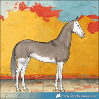 Horse Color:Brown Dun Splash 