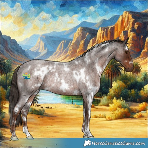 Horse Color:White Spotted Liver Red Roan Rabicano 