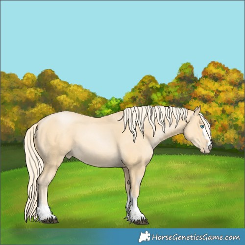 Horse Color:Chestnut Snowdrop 