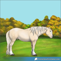 Horse Color:Chestnut Snowdrop 