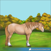 Horse Color:Chestnut Pearl
