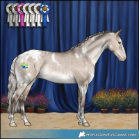 Horse Color:White Spotted Silver Brown Dun Appaloosa Rabicano 