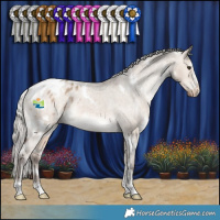 Horse Color:White Spotted Silver Brown Dun Appaloosa Rabicano 