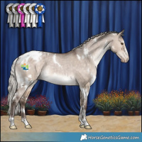 Horse Color:White Spotted Silver Brown Dun Appaloosa Rabicano