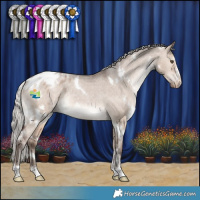 Horse Color:White Spotted Silver Brown Dun Appaloosa Rabicano 