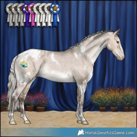 Horse Color:White Spotted Silver Brown Dun Appaloosa Rabicano 