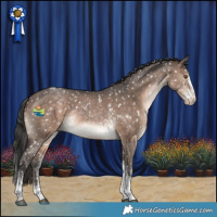Horse Color:Brown Dun Sabino Tobiano Appaloosa Rabicano 