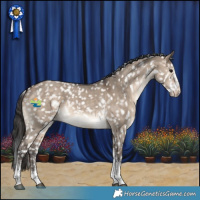 Horse Color:Brown Dun Sabino Tobiano Snowflake Varnish Rabicano