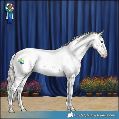 Horse Color:Silver Brown Dun Tobiano Appaloosa Rabicano 