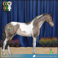 Horse Color:Brown Dun Tobiano Appaloosa Rabicano