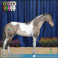 Horse Color:Brown Dun Tobiano Appaloosa Rabicano