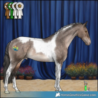 Horse Color:Brown Dun Tobiano Appaloosa Rabicano