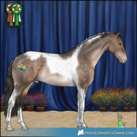 Horse Color:Brown Dun Tobiano Appaloosa Rabicano