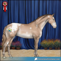 Horse Color:White Spotted Black Pearl Appaloosa Rabicano