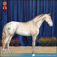 Horse Color:White Spotted Black Snowdrop Appaloosa Rabicano 