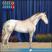Horse Color:White Spotted Black Snowdrop Appaloosa Rabicano 