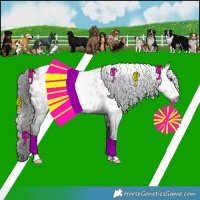Horse Color:Gray Liver Chestnut Blanket Rabicano 