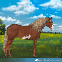 Horse Color:Chestnut Frame 