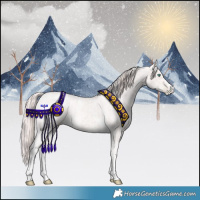 Horse Color:Powder White Platinum Chocolate Smoky Black Pearl Tobiano  and Powder White Platinum Chocolate Buckskin Pearl 