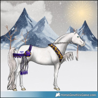 Horse Color:Powder White Platinum Chocolate Smoky Black Pearl Tobiano  and Powder White Platinum Chocolate Buckskin Pearl 