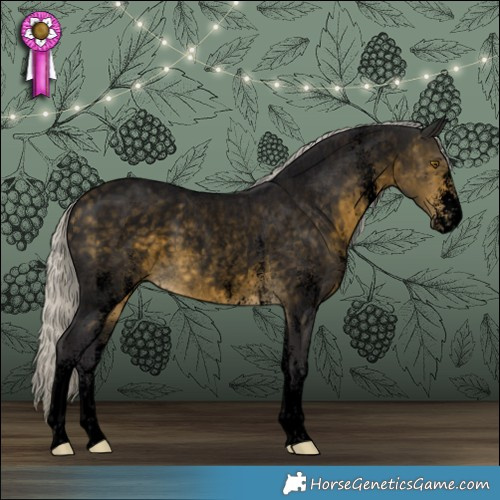 Horse Color:Void White Spotted Silver Buckskin Roan Rabicano 