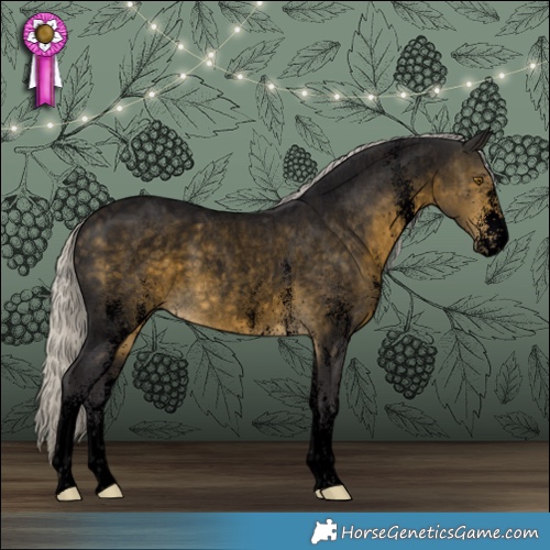 Horse Color:Void White Spotted Silver Buckskin Roan Rabicano 