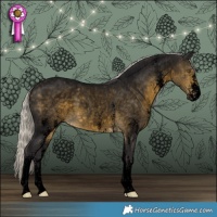 Horse Color:Void White Spotted Silver Buckskin Roan Rabicano