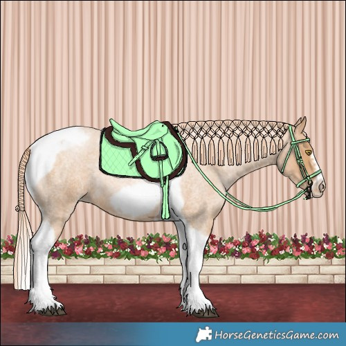 Horse Color:Red Roan Pearl Tobiano Frame 