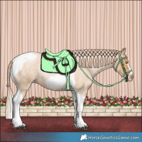 Horse Color:Red Roan Pearl Tobiano Frame 