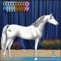 Horse Color:Gray Silver Smoky Black Splash Tobiano Varnish 